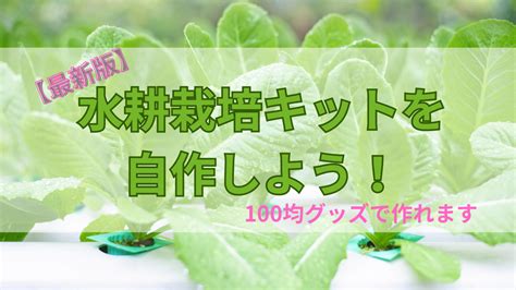 水耕容器diy|水耕栽培キットを自作しよう！【最新版】100均グッ。